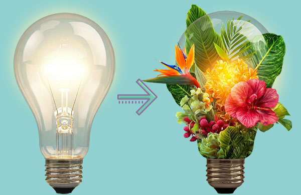 Light bulb transformed into flowers